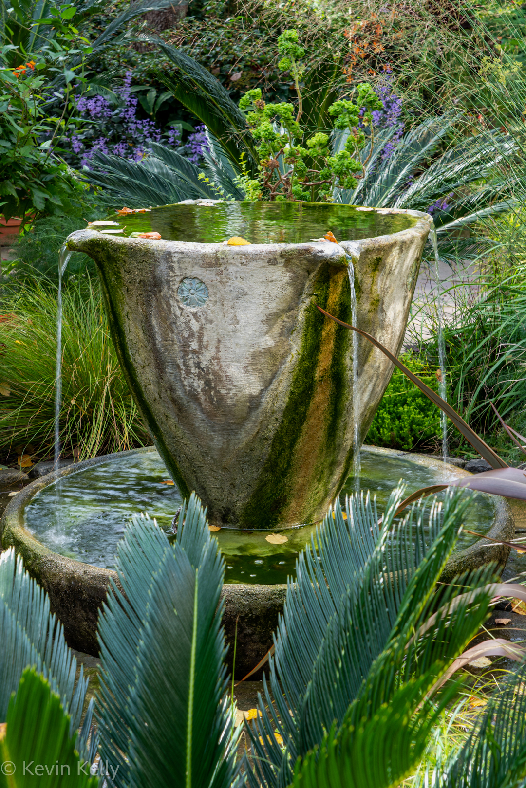 The Teacup Garden, named for the signature fountain that is the focal point. The plantings around the fountain change annually.