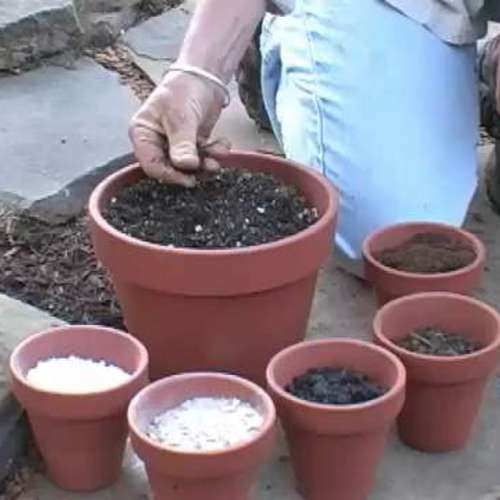 Potting Soil Recipe for Woody Plants and Perennials