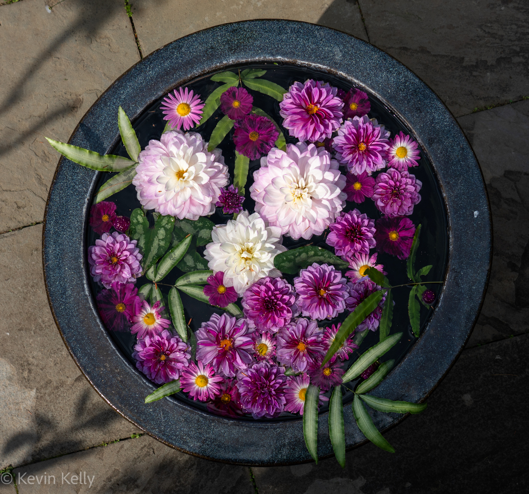 Every day the staff collects fresh blooms to layer on the water in this container.