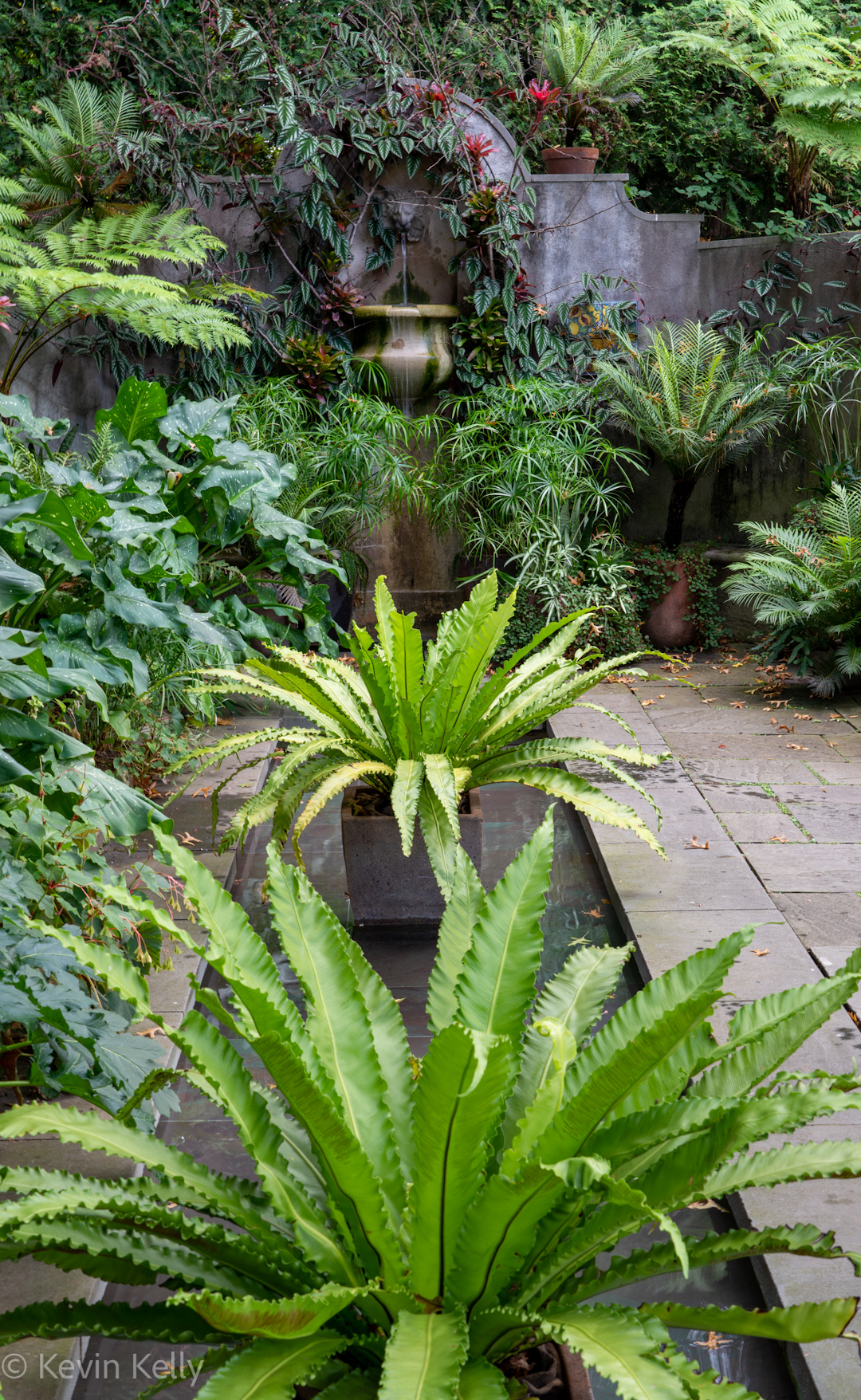 This water feature is in a courtyard behind the main house.