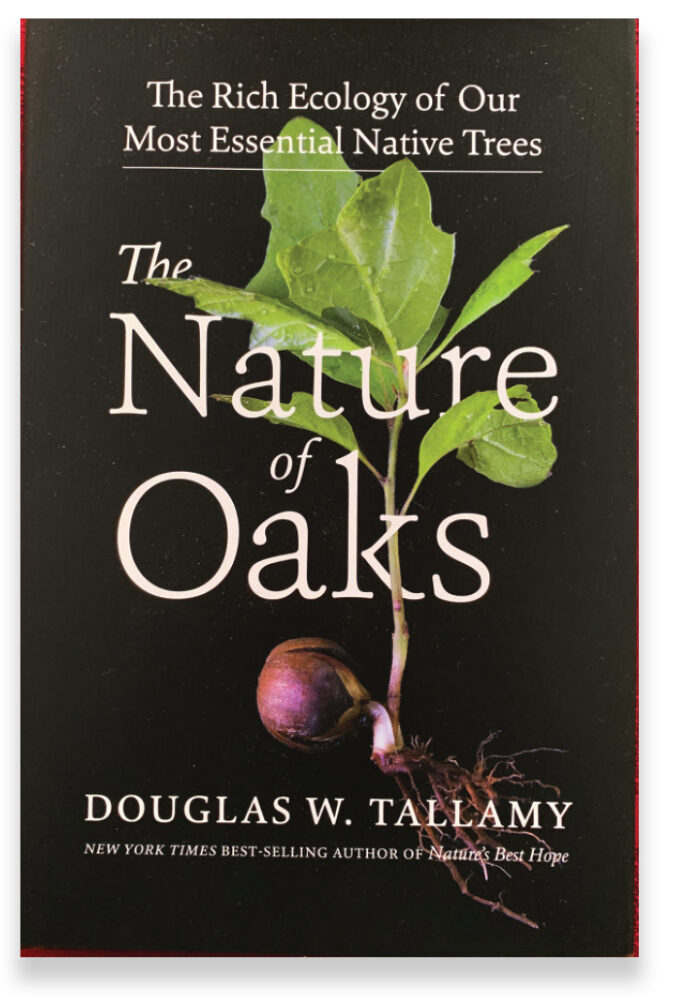 The Nature Oaks Book by doug tallamy cover