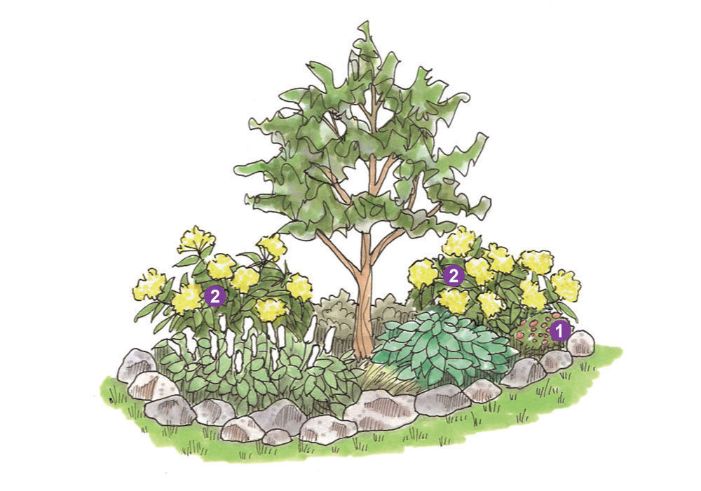 Illustration of a small garden bed