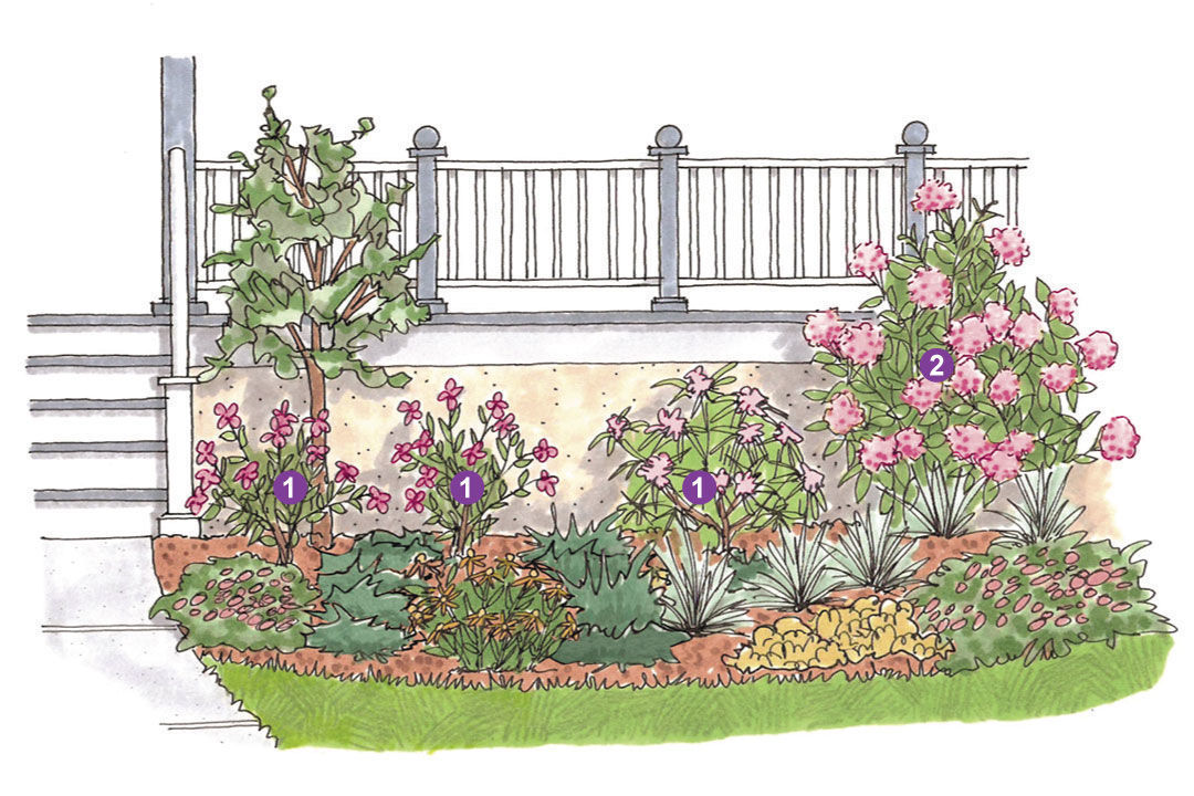 Illustration of a medium garden bed