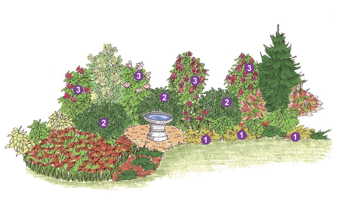 Illustration of a large garden bed