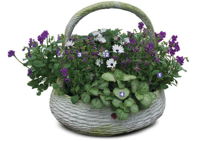 white basket container with purple and white flowers