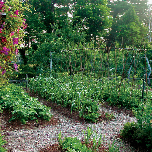 small space garden