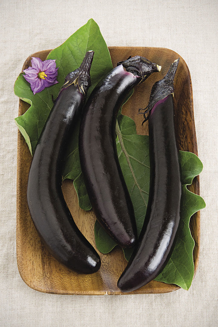 ‘Orient Express’ eggplant