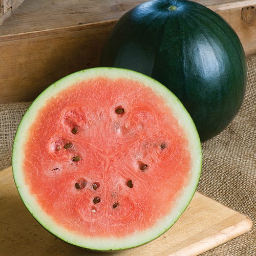 ‘Sugar Baby’ watermelon