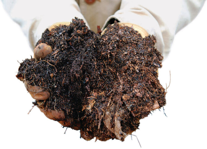 handful of soil