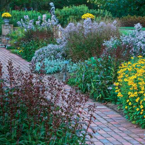 Native plants for fall color