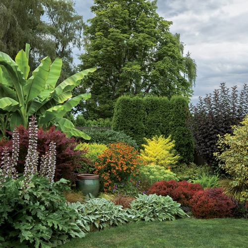 garden design to hide fence