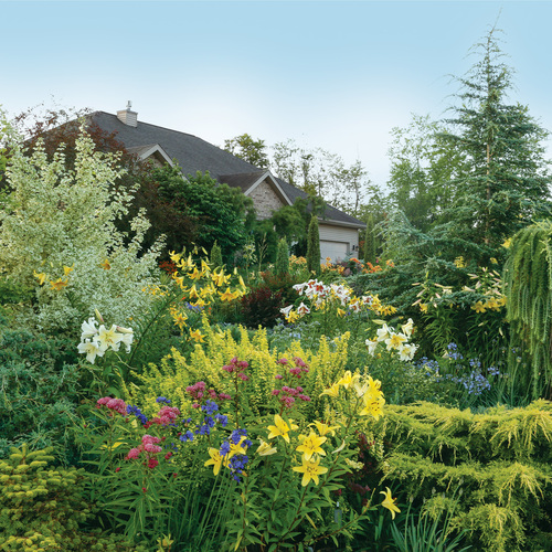 garden with deep borders