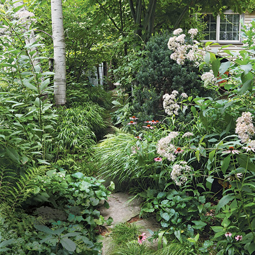 naturalistic shade garden