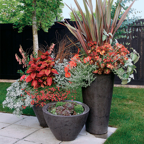 plant container grouping