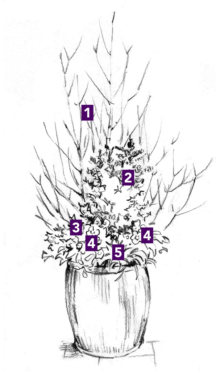 late winter container plant ids