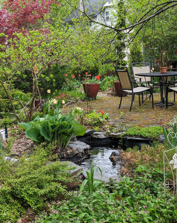 garden patio next to a small man-made pond