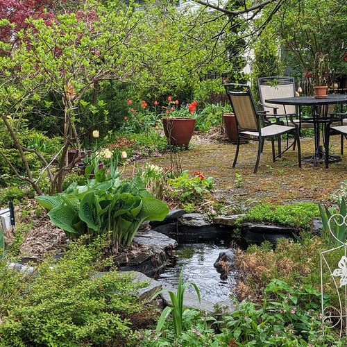 garden patio next to a small man-made pond