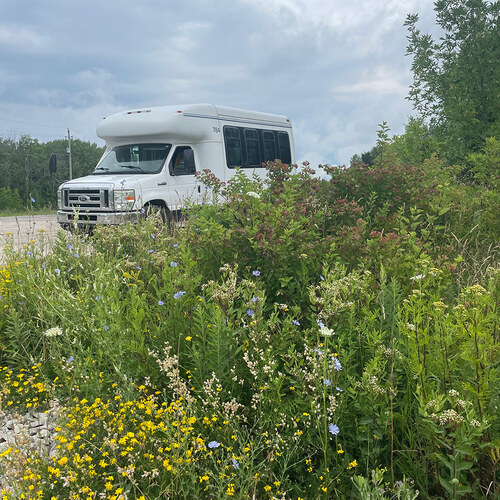 bus parked behind wildflowers on the side of the road