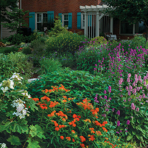 eco-friendly front garden