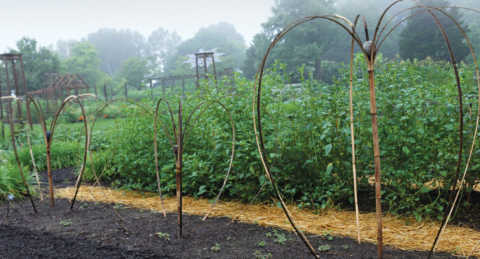 garden trellis made of split bamboo into heart shapes