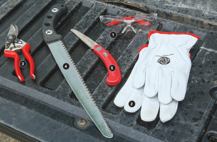 Pruning Tool Kit