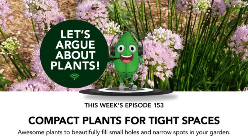 Episode 153: Compact Plants for Tight Spaces