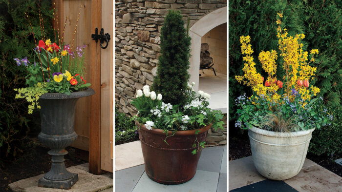 spring containers