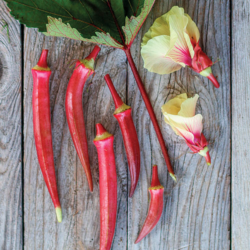 award-winning okra