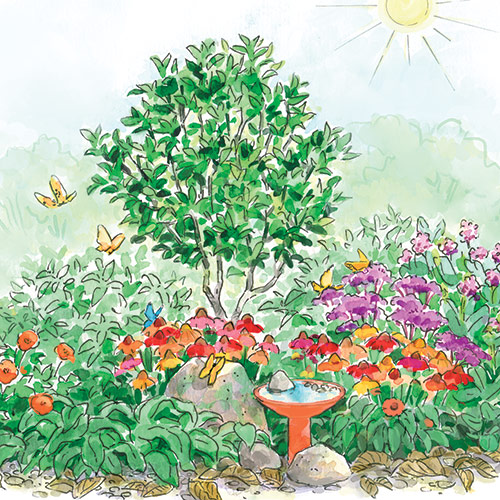 elements of a butterfly garden