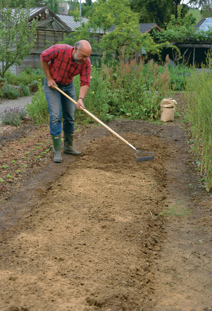 Organic fertilizer releases its nutrients gradually over the entire season. For the best results, broadcast the fertilizer for even distribution (top). To keep the fertilizer evenly distributed, chop it in with the tines of a soil rake (bottom).