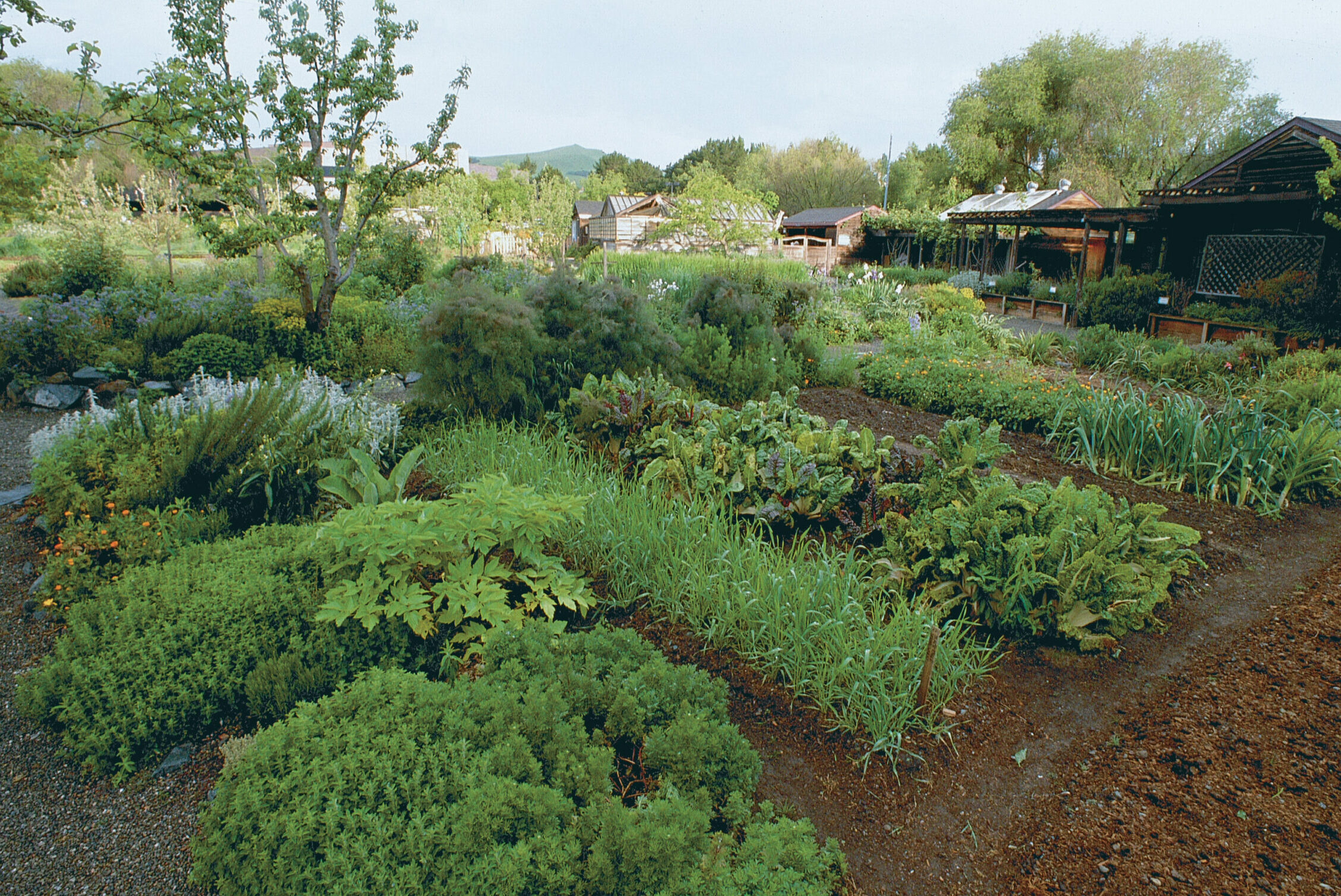 Good soil leads to robust plants. Because plants tend to be healthier and more productive when grown in well-prepared soil, you make the best use of your garden space.