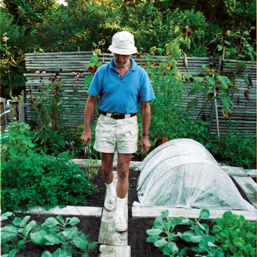 Access is important, even in a tight space. Paths of 2x10 lumber enable the author to harvest his crops without trampling the plants. The planks also secure essential drip-irrigation lines.