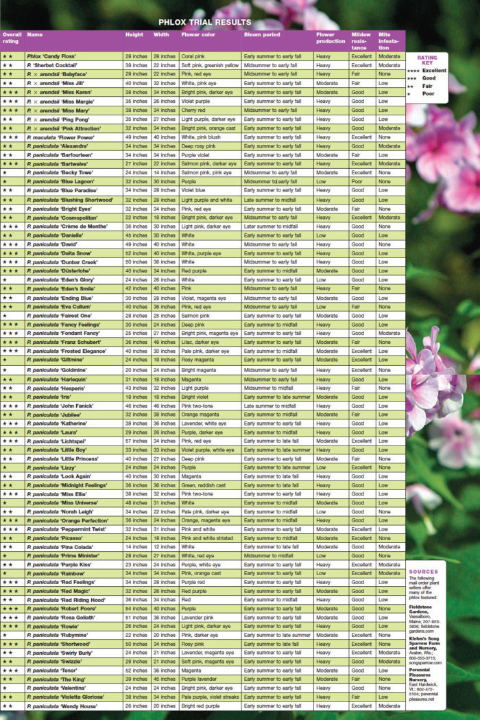 phlox trial results chart