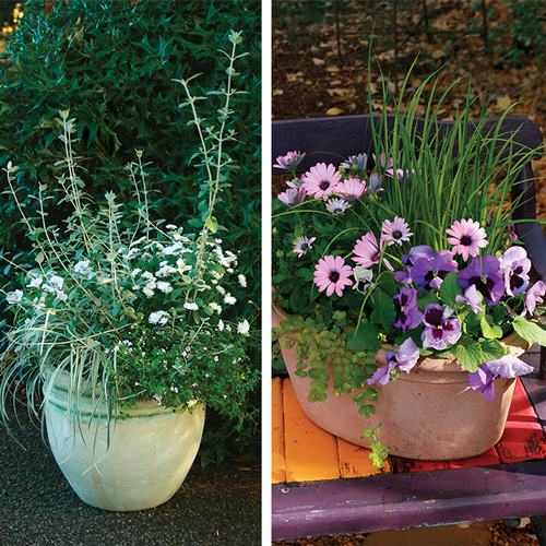 spring container designs